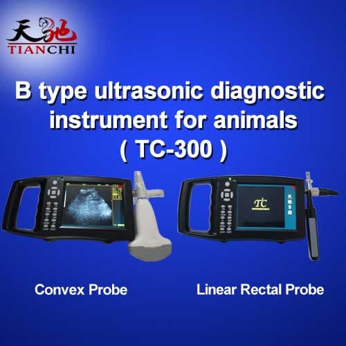 TIANCHI Bovine Ultrasound Machine TC_300 Manufacturer in TJT